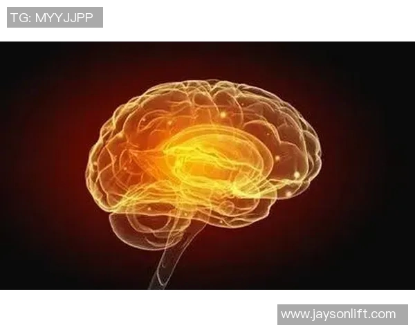 争夺总冠军的荣耀之路：团队协作与个人突破的完美融合