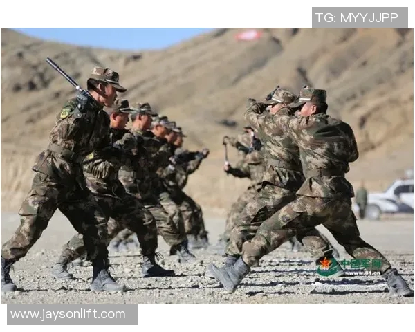 南京攀岩队区域防守分析与战术调整探讨